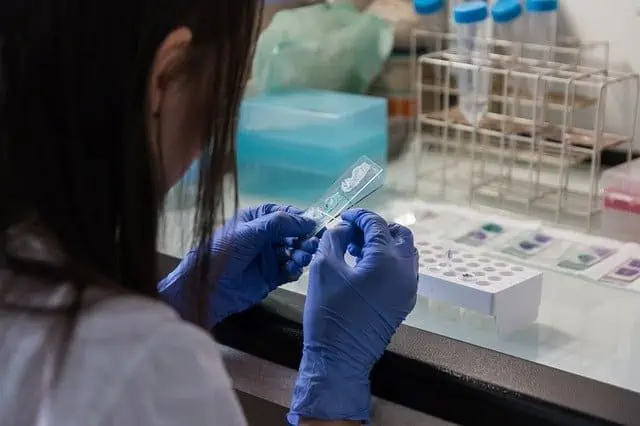 analyste-biomedical métier analyste biomédical