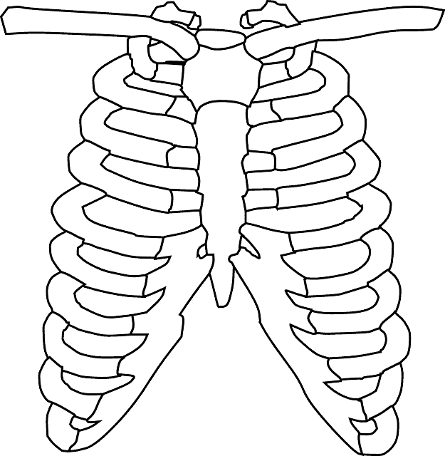Formation Chirurgien Thoracique cardiovasculaire coeur (2) Formation Chirurgien Thoracique cardiovasculaire coeur