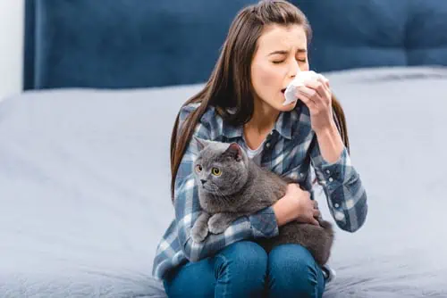 allergie aux chats besoin de d'allergologue allergie aux chats besoin de d'allergologue