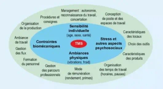 Causes des TMS Causes des TMS en photo