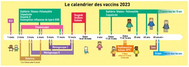 calendrier-vaccination Calendrier de vaccination 2023