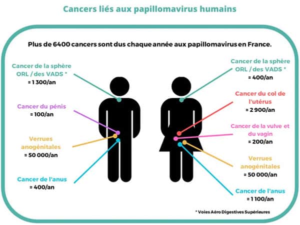 Centre de lutte contre le cancer Léon Bérard Centre de lutte contre le cancer Léon Bérard
